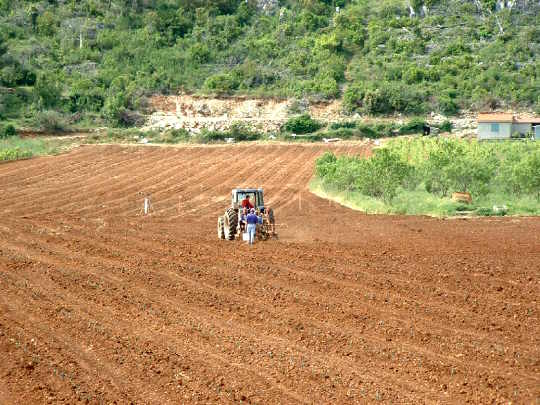 Polje Blato